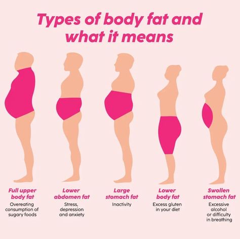 Best Fat Burning Foods Body Type Diet, Goodbye To Love, Food To Gain Muscle, Lower Body Fat, Best Fat Burning Foods, Healthy Body Weight, Diet And Exercise, Stomach Fat, Burn Belly Fat