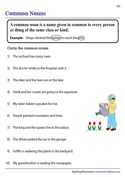 Common Nouns Worksheets Common Nouns Worksheet, Common Noun, Common Nouns, Nouns Worksheet, The Common, 1st Grade, Grade 1, 2nd Grade, Grammar