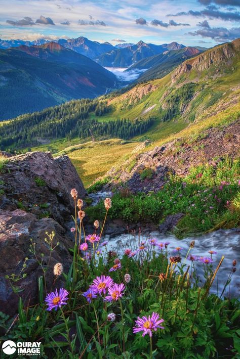 Colorado Summer, Beautiful Places Nature, Landscape Pictures, Beautiful Places In The World, Pretty Places, Watercolor Landscape, Landscape Photos, Travel Pictures, Beautiful Views