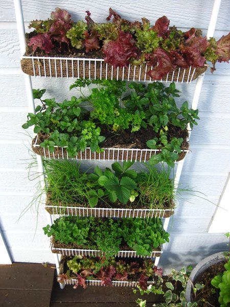 Salad Garden, Diy Garden Landscaping, Vertical Vegetable Gardens, Vegetable Garden Ideas, Vertical Vegetable Garden, Small Vegetable Gardens, Vegetable Garden Diy, Potager Garden, Garden Containers