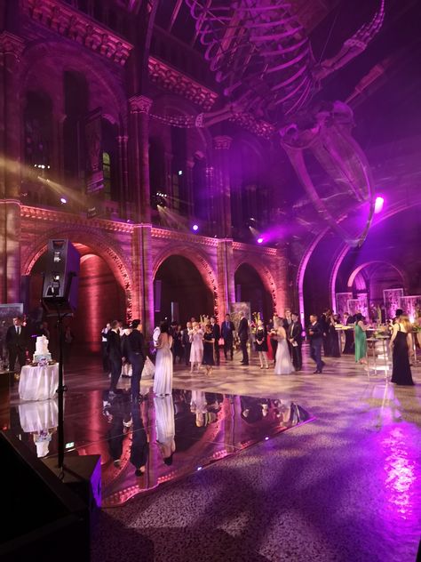 National History Museum Wedding, Natural History Museum Wedding, Reception Entertainment, Wedding Reception Entertainment, Natural History Museum London, Event Hall, London History, Event Entertainment, Wedding Entertainment