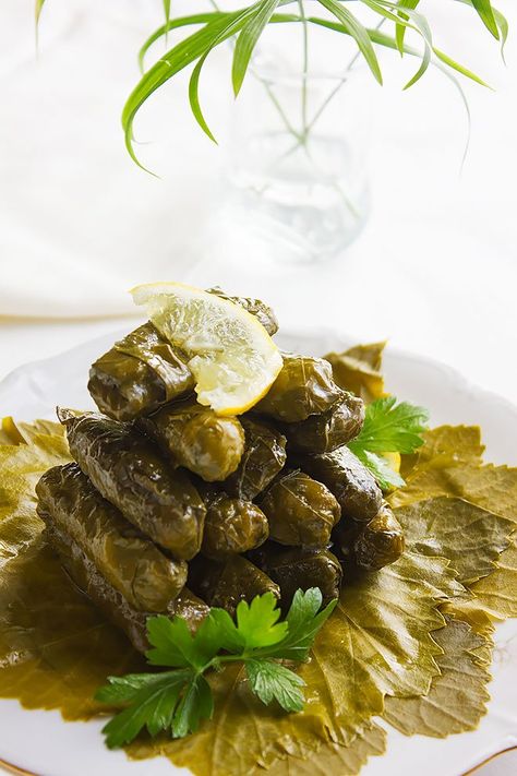 Stuffed Grape Leaves Recipe, Warak Enab, Appetizer Vegetarian, Grape Leaves Recipe, Lebanon Food, Vegetarian Appetizer, Wine Leaves, Stuffed Grape Leaves, Armenian Recipes