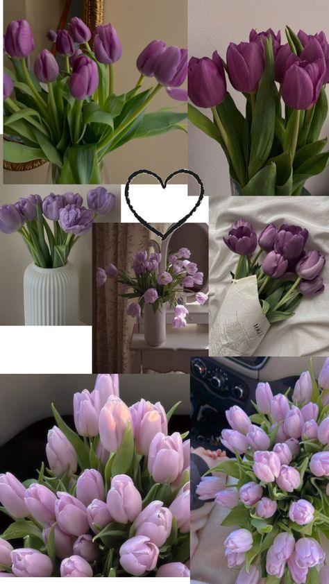 Tulip Flower Pictures, Money Flowers, Fancy Flowers, Light Blue Flowers, Nothing But Flowers, Purple Tulips, Cute Flower Wallpapers, Flower Therapy, Beautiful Bouquet Of Flowers