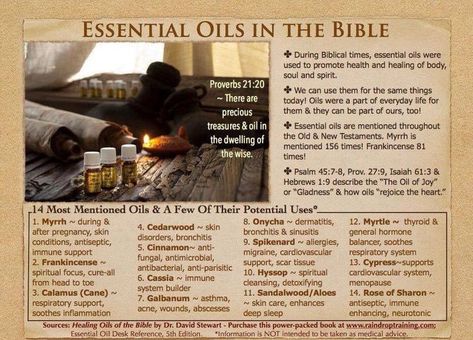 Oils Of The Bible, Essential Oil Remedy, Yl Oils, Essential Oils Herbs, Oil Remedies, Essential Oils Health, Yl Essential Oils, Living Essentials Oils, Healing Oils