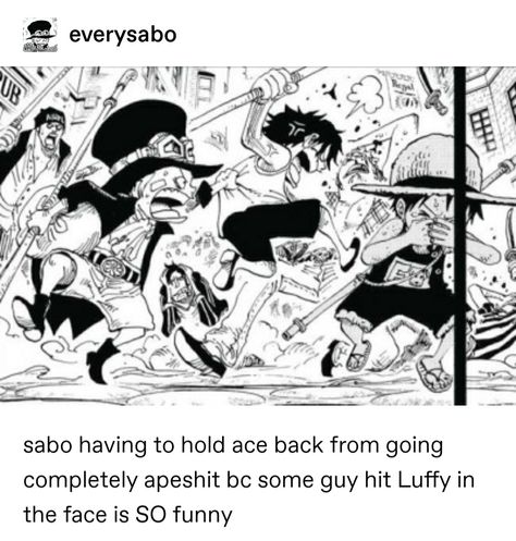 One Piece Fan Comic, Asl Trio, One Piece Asl, Asl One Piece, One Piece Tumblr, Asl Brothers, One Piece Crossover, Ace Sabo Luffy, رورونوا زورو