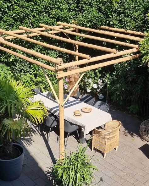 Repost @leukwonen via Instagram Bamboo Patio Cover, Bamboo Pergola Ideas, Bamboo Garden Ideas, Pergola Bamboo, Garden With Bamboo, Bamboo Terrace, Bamboo Pergola, Bamboo Arbor, Indoor Bamboo