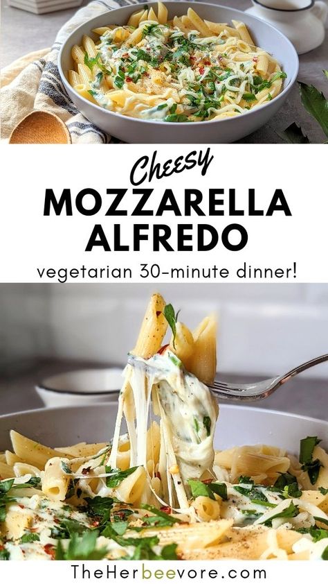 Mozzarella Alfredo Pasta Sauce Recipe Alfredo Sauce With Milk, Cheesy Pasta Sauce, Garlic Milk, Creamy Cheesy Pasta, Alfredo Sauce Recipe Easy, Pasta Fresh, Pasta Sauce Recipe, Pasta With Alfredo Sauce, Mozzarella Pasta