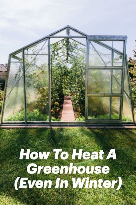 If you need more space for growing plants in the winter, a greenhouse seems like a logical choice. However, there is still the problem of germinating seeds and keeping plants alive in the winter cold. Let’s take a closer look at how these greenhouse heating methods work, and which ones might be the best option for you. Lean To Greenhouse Kits, Greenhouse Heating, Germinating Seeds, Greenhouse Heaters, Keeping Plants Alive, Heating A Greenhouse, Preschool Garden, Best Greenhouse, Winter Greenhouse