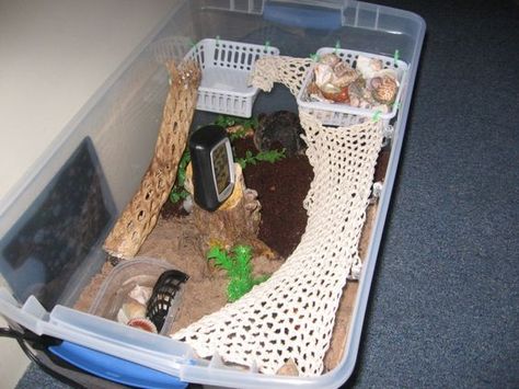 DIY Hermit Crab Habitat. I think I might get one... Diy Hermit Crab Habitat, Hermit Crab Cage, Hermit Crab Homes, Crab Habitat, Hermit Crab Habitat, Crab Tank, Hermit Crab Tank, Crab Toy, Crab House