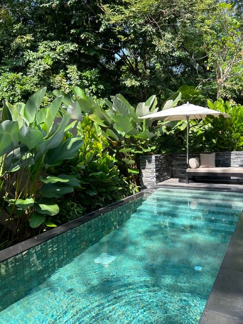 Tropical Pools, Jungle Pool, Beach House Pool, Singapore House, Pool Plants, Green Pool, Jungle House, Pool Finishes, Pool Landscape Design