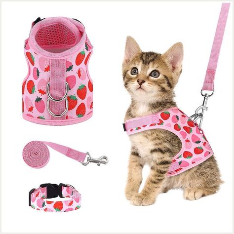 URATOT Cat Harness and Leash Set Cat Vest Harness Pet Leash and Collar Set Pet Harness Cat Harness And Leash, Harness And Leash Set, Small Dog Harness, Vest Harness, Cat Leash, Cat Harness, Pet Leash, Kittens And Puppies, Haiwan Peliharaan