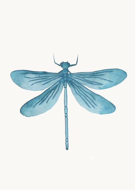 Dragon Fly Wings, Dragonfly Dragon, Small Dragonfly Tattoo, Fly Wings, Dragonfly Illustration, Dragonfly Artwork, Dragonfly Images, Dragonfly Drawing, Fly Drawing