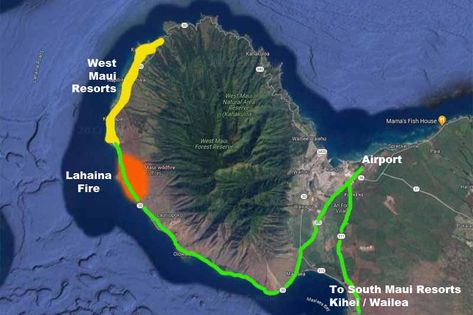 Lahaina Fire Recovery What Am I Missing, Maui Tours, Maui Resorts, Lahaina Maui, West Maui, Maui Travel, Hawaii Trip, Maui Vacation, Fish House