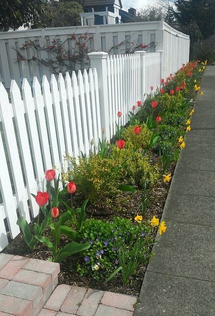 Flowers Along Fence, Picked Fence, School Fence, Sidewalk Garden, Short Fence, Garden Planters Diy, Patio Images, Screened Porches, Picket Fences