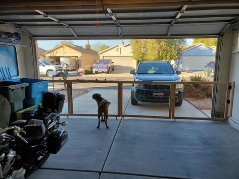 User Builds Gate At Their Garage For Their Dog To Watch The Neighborhood - I Can Has Cheezburger? Garage Dog Door, Garage For Dogs, Diy Dog Gate For Garage Door, Dog Garage Kennel, Dog Kennel In Garage Ideas, Dog Area Garage, Dog Run In Garage, Garage Ideas For Dogs, Garage Area For Dog