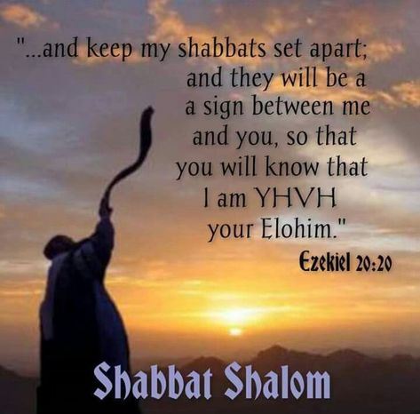 Words Of God, Sabbath Quotes, Shabbat Shalom Images, Messianic Judaism, Hebrew Lessons, Happy Sabbath, Hebrew Language, Learn Hebrew, Shabbat Shalom