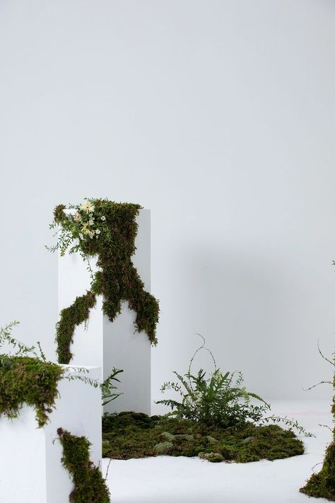 Indoor Plant Installation, Nature Exhibition Design, Minimalist Set Design, Jungle Installation, Moss Installation, Moss Photoshoot, Green Installation, Vertikal Garden, Grass Installation