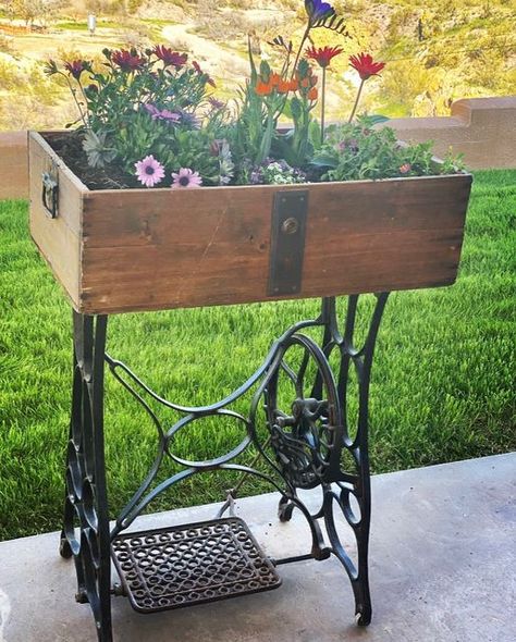 Terry Macias on Instagram: "I made a planter out of an old sewing machine stand. It makes me happy to repurpose, especially when flowers are involved.🌷🍃… . . #plantstand #repurposedvintage #upcycledvintage" Sewing Machine Stand Repurposed, Sewing Machine Stand Ideas, Sewing Machine Planter, Treadle Sewing Machine Ideas Repurposed, Vintage Sewing Machine Repurposed, Singer Sewing Machine Repurposed, Antique Sewing Machine Table, Old Sewing Machine Table, Rustic Projects