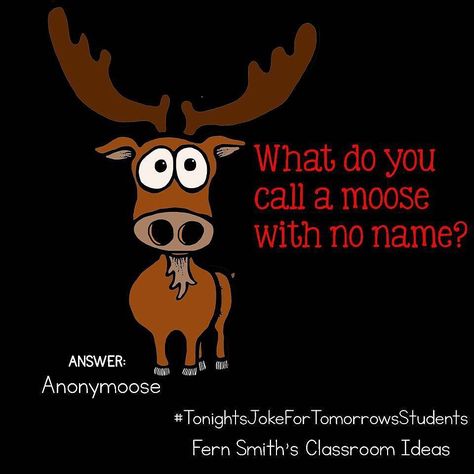 Tonight's Joke for Tomorrow's Students What do you call a moose with no name? Anonymoose! Follow me on Pinterest where I have an entire board dedicated to my jokes. Pinterest: FernSmith Board: Jokes for Kids. #TonightsJokeForTomorrowsStudents #FernSmithsClassroomIdeas Corny Puns, Lunchbox Jokes, Punny Jokes, Lame Jokes, Cheesy Jokes, Daily Jokes, Christmas Jokes, Funny Jokes For Kids, Corny Jokes