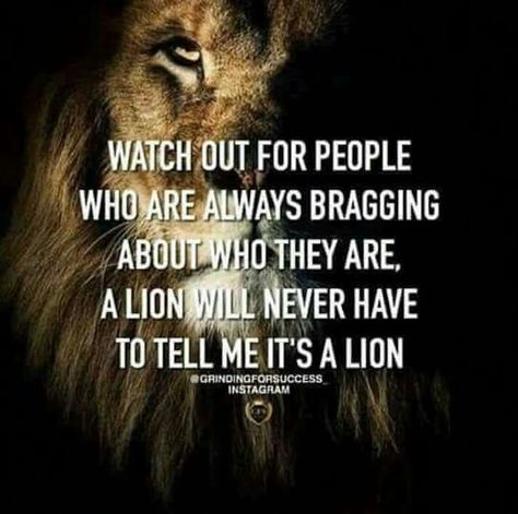 Watch out for people who are always bragging about who they are. A lion will never have to tell me it's a lion. Athletic Quotes, Lion Quotes, Now Quotes, Fina Ord, Under Your Spell, Motiverende Quotes, Warrior Quotes, Badass Quotes, A Lion