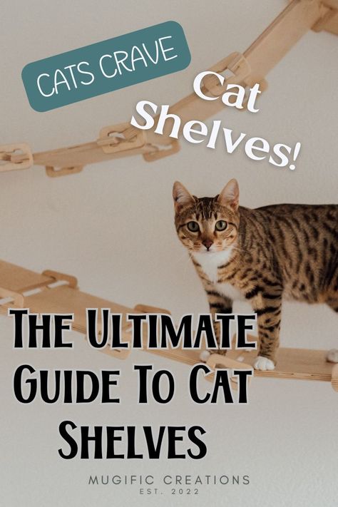 A bengal cat walking on vertical cat shelving. Cat Climbing Shelves Diy, Cat Wall Design Ideas, Diy Cat Bridge Easy, Wall Shelves For Cats, Cat Shelf Ideas, Cat Wall Shelves Catwalks, Cat Wall Furniture Diy, Diy Cat Wall Shelves, Cat Shelves Diy Climbing Wall