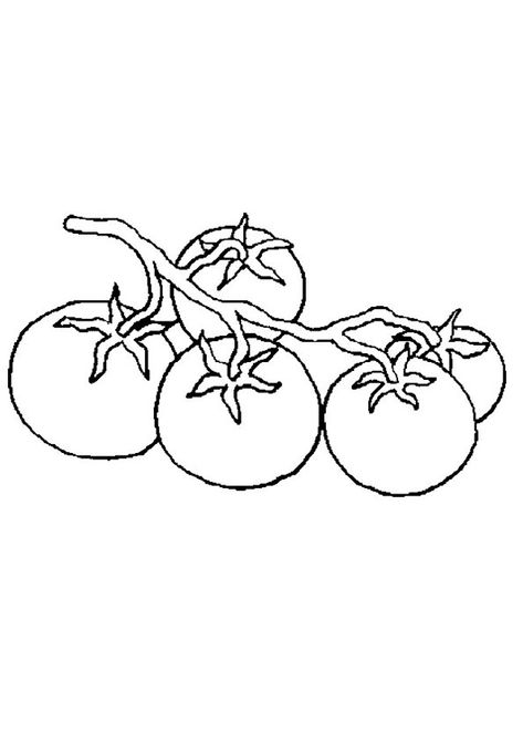 Bunch of Tomato Coloring Page for kids. Free Printable Tomato Coloring Pages For kids download and print. Tomato Tattoo, Tomato Drawing, Diy Halloween Dekoration, Vegetable Coloring Pages, Vine Tattoos, Pretty Tattoos, Cute Tattoos, Linocut, New Tattoos