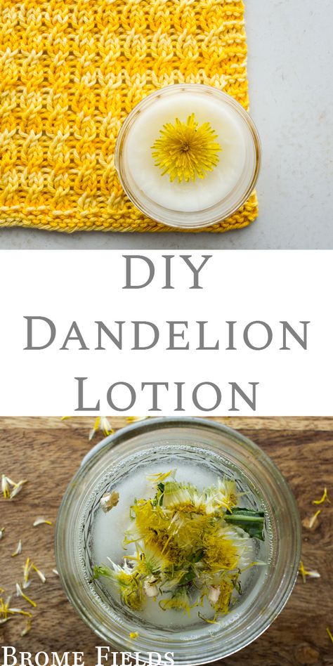 Dandelion Soap Recipe, Dandelion Lotion Recipe, Dandelion Oil Diy, Dandelion Face Cream, Dandelion Lip Balm Diy, Dandelion Lotion Bars, Dandelion Lotion, Dandelion Magnesium Lotion, Coconut Oil Moisturizer