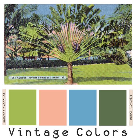 Vintage Color Palettes - Palm of Florida - Hex codes numbers on the blog Old Florida Decor, Vintage Color Palettes, Florida Bedroom, Florida Decorating, Palm Springs Decor, Beach Color Palettes, Florida Decor, Vintage Colour Palette, Florida Vintage