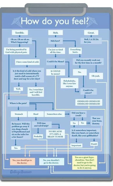 Sickly Funny Flow Charts, Flow Charts, Venn Diagrams, Im Just Tired, Decision Tree, Personal Wellness, Home Management Binder, Pop Quiz, Bad Behavior