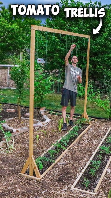 Mini RAISED BED Using ONE PALLET, FREE Backyard Gardening🪴 If you want to build a Raised Bed for FREE this is how!! Thanks for the kind … | Instagram Building A Garden Bed, Garden Beds In Ground, Backyard Garden In Ground, Raised Bed Garden Pallet, Tomato Beds Raised, Raised Flower Bed Designs, Vegetable Garden Border Ideas, Cheap Garden Bed Ideas, Diy Raised Bed Frame