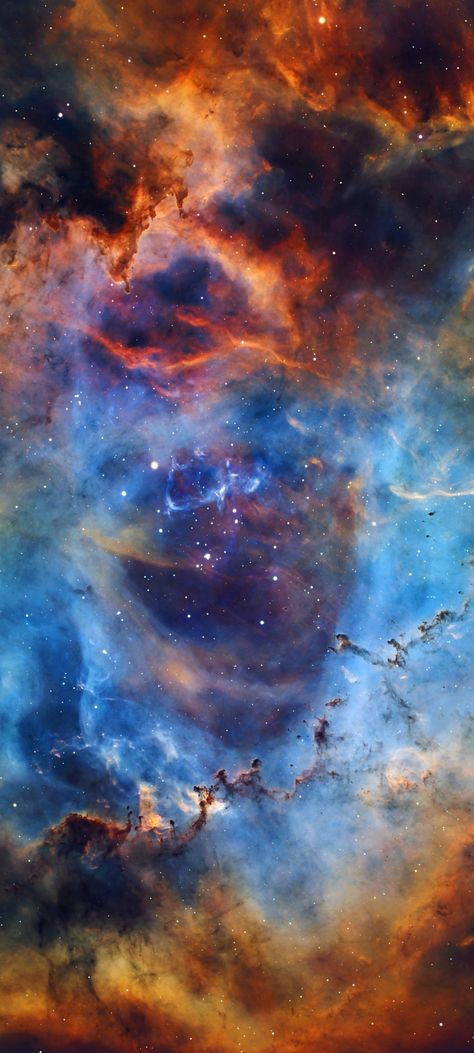 NGC-2237/44 The Heart of the Rosette Nebula by Ferrante Enriques cropped rotated mobile wallpaper 1080x2400 Rosette Nebula Wallpaper, Space Wallpaper Nebula, Helix Nebula Wallpaper, Butterfly Nebula Wallpaper Hd, Galaxia Wallpaper, Rosette Nebula, Galaxy Aesthetic, Astronomy Nebula, Travel Wallpaper