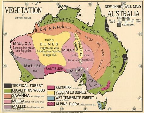 Australia's vegetation map by geographer and Antarctic explorer Thomas Griffith Taylor (1880-1963) from the 1920s. Map Of Continents, Map Of Australia, Australian Maps, European Explorers, Australia History, Pictorial Maps, Weather Map, Colonial History, Australia Map