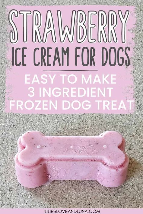 Homemade strawberry ice cream for dogs is an easy frozen dog treats recipe to make for your dog this summer. Frozen strawberry dog treats are easy to make with only 3 ingredients. This DIY dog popsicles recipe is made with simple ingredients like plain Greek yogurt. Strawberry Dog Treats, Dog Popsicles Recipe, Ice Cream For Dogs, Dog Popsicles, Dog Ice Cream Recipe, Frozen Dog Treats Homemade, Homemade Dog Shampoo, Dog Treats Recipe, Frozen Treats Recipes