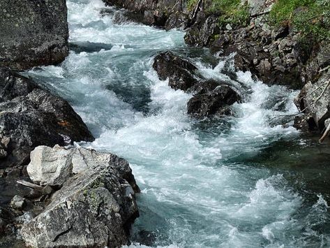 River Rapids, Stream Of Consciousness, Ap Art, Warrior Cat, River Rock, Galaxy Wallpaper, Kayaking, Art Inspo, Water