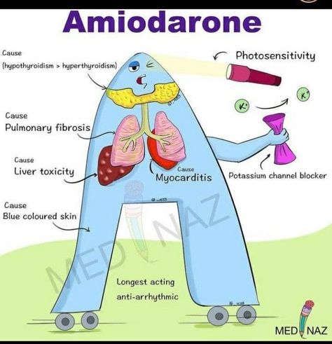 Amiodarone Drip Nursing, Amiodarone Nursing, Ssri Medication, Paramedic School, Nursing School Essential, Nursing School Motivation, Nurse Study Notes, Nursing Mnemonics, Nursing Student Tips