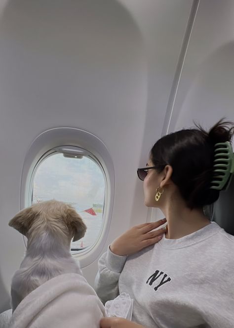 Travel Dog Aesthetic, Travel With Dog Aesthetic, Dog On Plane, Year Manifestations, Traveling With Dog, Dogs On Planes, Vision Board2025, Airport Vibes, Vision 2025