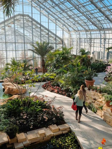 Victorian Glasshouse, Botanical Center, Conservatory Garden, Indoor Fun, Kew Gardens, Large Plants, Glass House, Westminster, Garden View