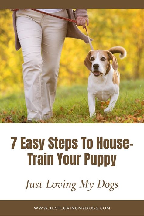 New Puppy Training, Different Types Of Dogs, Training At Home, Dog Tricks, Puppy Training Tips, Just Love Me, Dog Hacks, Types Of Dogs, Crate Training