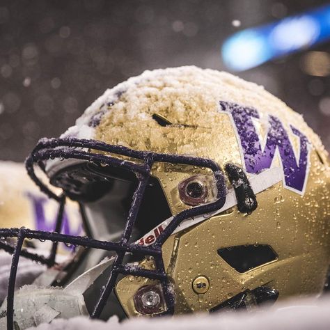 The University of Washington Football 🏈 #godawgs #huskyfan #pac12 #PurpleReign #pac12football #footballfan #collegefootball #football #ncaa #pnw 🌲 #pnwsports #pnwfootball Washington Huskies Football, Uw Huskies, Huskies Football, College Tennis, University Of Washington Huskies, Seattle Sports, College Baseball, College Soccer, Washington Football