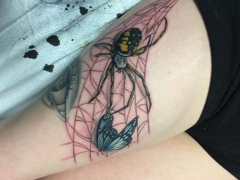 Spider + Butterfly tattoo - Album on Imgur Spider Web Butterfly, Spider Butterfly, Pei Canada, Spider Web Tattoo, Web Tattoo, Wicked Tattoos, Spider Tattoo, Sternum Tattoo, R Tattoo