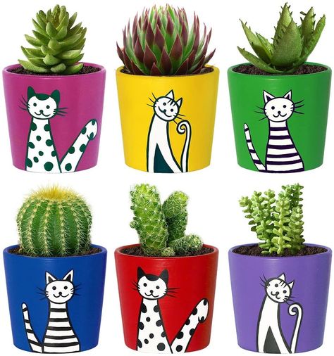 Plants Cute, Ceramic Cactus, Plant Pot Design, Pots For Plants, Flower Pot Art, Terra Cotta Pot Crafts, Flower Pot Design, Painted Pots Diy, Painted Plant Pots