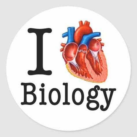 Biology Anatomy Art, Biology Dp For Whatsapp Group, Biology Wallpaper Science, Biology Logo Design, Biology Design Ideas, Small Cute Stickers, Biology Cover Page Design, Biology Wallpaper, Biology Logo