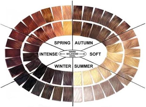 Hair Color by Season (Riter) Autumn Color Palette Fashion, Deep Autumn Color Palette, Soft Autumn Color Palette, Light Spring Colors, The Color Wheel, Hair Color Chart, Winter Typ, Hair Extentions, Seasonal Color Analysis