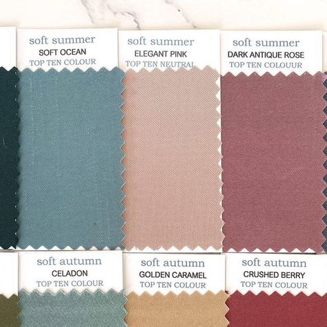 The difference between Soft Summer and Soft Autumn. The top row of fabric swatches have more softness due to the amount of grey added to ... | Instagram Soft Summer Orange, Harvest Gold, Caramel Topping, On The Border, Soft Autumn, Soft Summer, Cool Summer, Antique Roses, Warm Autumn