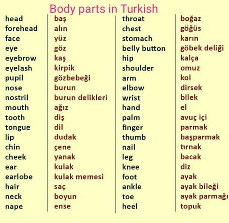 Turkish English body parts vocabulary Words In Different Languages, Words In Other Languages, Turkish Lessons, Learn Turkish Language, Learning Languages Tips, Learning Mathematics, Turkish Language, Korean Language Learning, German Language Learning