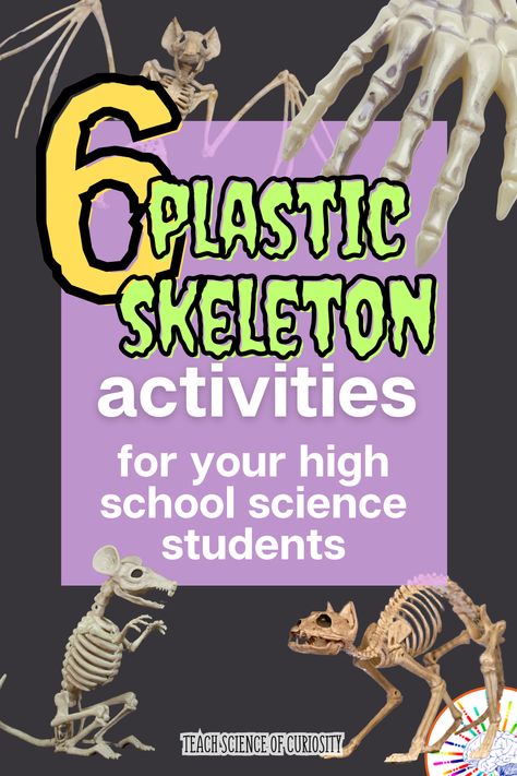 Ideal for science teachers searching for Halloween-themed classroom activities that engage and educate high school students! Discover six creative ways to use plastic skeletons  - way beyond identifying bones! Biology Activities High School, Skeleton Activities, Biology Activities, High School Halloween, High School Biology Teacher, Activities For High School, Biology Activity, Ap Environmental Science, School Biology