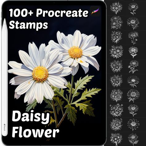 Daisy Procreate, Flower Procreate, Procreate Floral, Digital Art Software, Botanical Motifs, Procreate Stamps, Tree Stamp, Illustration Botanique, Flower Stamp