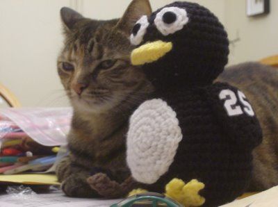 Max Penguin was also introduced to our cat, Sora. Penguin Birthday, Cat Person, A Cat, Pretty Things, Penguins, Birthday, Animals, Quick Saves