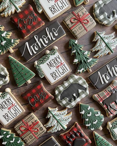 Decorated Christmas Cookies, Christmas Sugar Cookies Decorated, Winter Cookie, Sugar Cookie Designs, Smart Cookie, Xmas Cookies, Sweet Cookies, Fancy Cookies, Creative Cookies