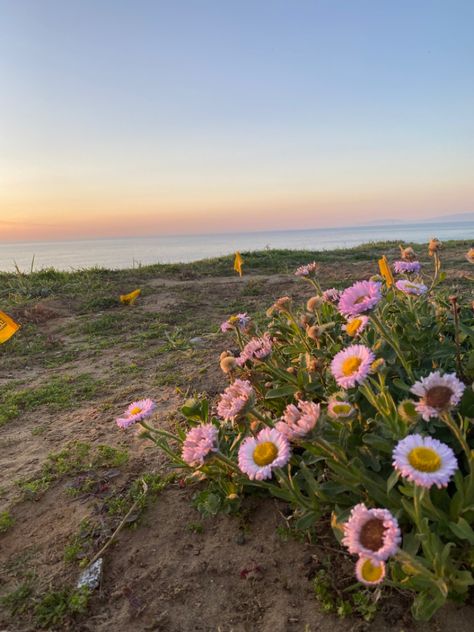 Sunset picture from pacifica california on feb 13 2022 for future art pieces for Paola Lagunas and Arte Por Lola Pacifica California, Landscape References, Ocean Landscape, Sunset Pictures, Feb 13, San Francisco, Art Pieces, California, Natural Landmarks